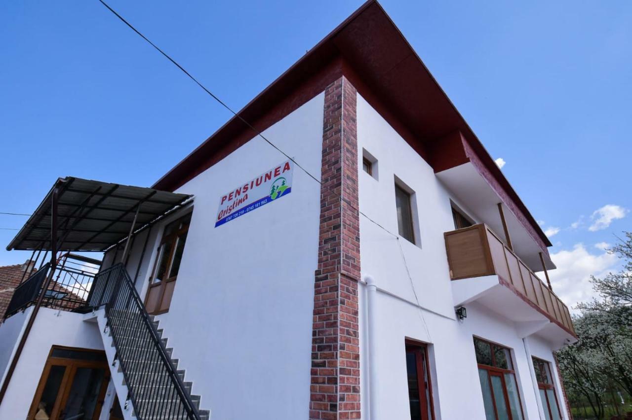 Pensiunea Cristina Vişeu de Sus Exterior foto